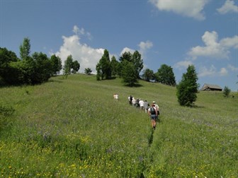 Introduction_pic